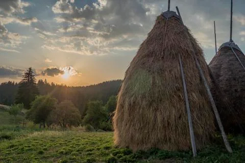 Hay piles on sunset Stock Photos