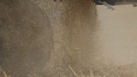 Hay is Poured from the Combine Stock Footage 111880340