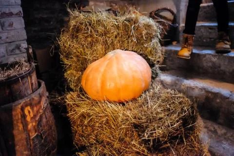 Hay pumpkin in the basement Foto stock