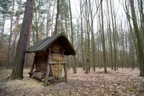 Hay rack in the forest Stock Photos