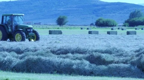 Hay rake with hay bales in background. Stock Footage 56339560
