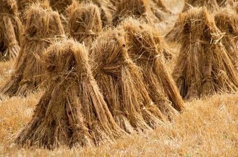 Hay ricks Stock Photos