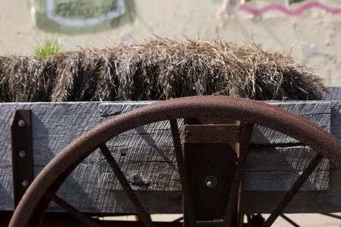 Hay Ride Stock Photos