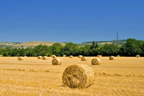 Hay roles Stock Photos