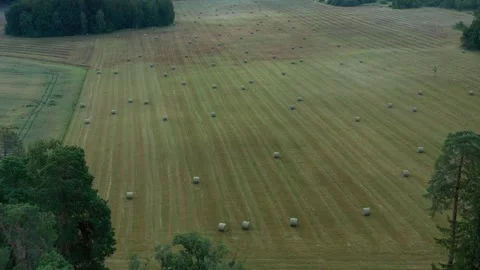Hay Roll Field Stock Footage 249631244