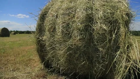 HAY IN A ROLL Stock Footage 158126494