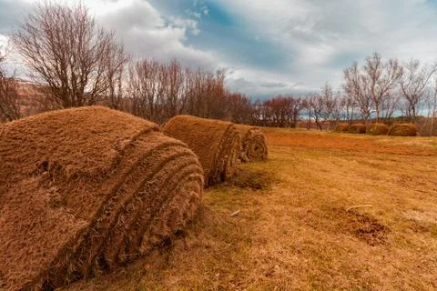 Hay roll from low angle close up with cloudy blue sky on the field Stock Photos
