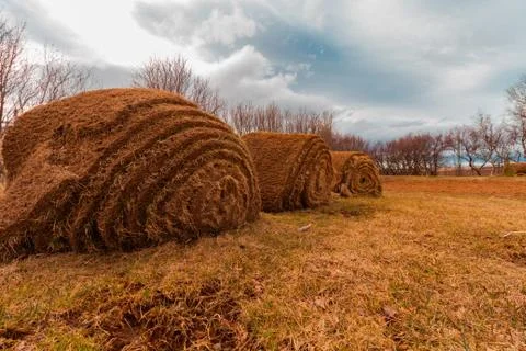 Hay roll from low angle close up with cloudy blue sky on the field Stock Photos