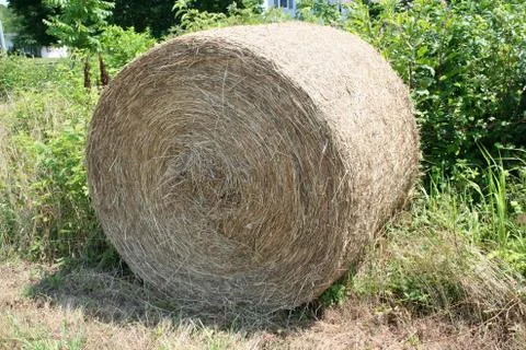 Hay roll Stock Photos