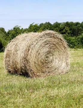 Hay roll Stock Photos