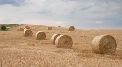 Hay rolles on feild Stock Photos