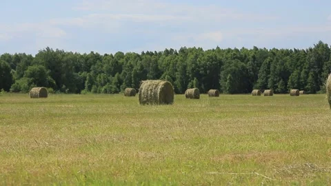 HAY IN ROLLS 2 Stock Footage 158126543