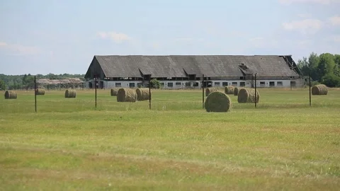 HAY IN ROLLS 3 Stock Footage 158126556