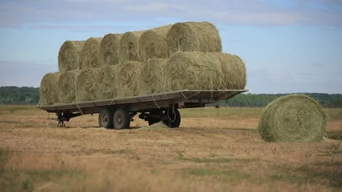 HAY IN ROLLS 4 Stock Footage 158126621