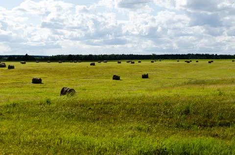 Hay rolls in a field Stock Photos