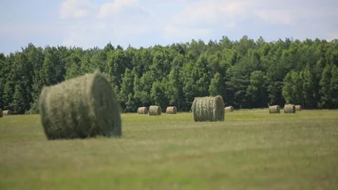 HAY IN ROLLS Stock Footage 158126591