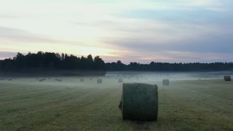 Hay Rolls Stock Footage 249630671