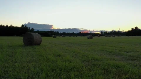 Hay Rolls Stock Footage 250375611
