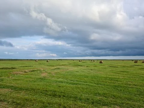 Hay rolls in the meadow Stock Photos
