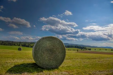 Hay Rolls on Opened Field Stock Photos