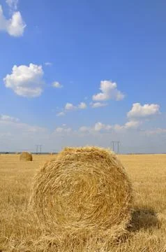 Hay rolls Stock Photos