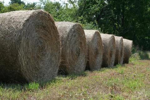 Hay rolls Stock Photos