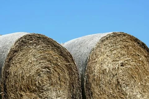 Hay rolls Stock Photos