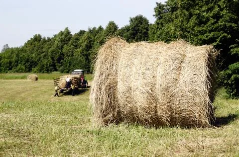 Hay rolls Stock Photos