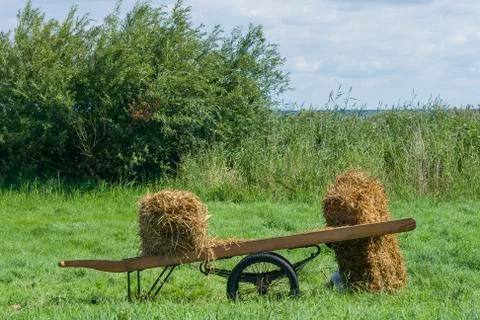 Hay rolls Stock Photos