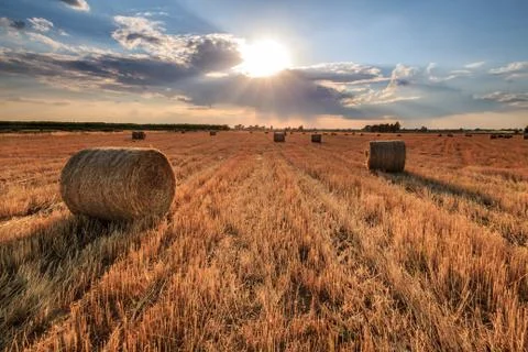 Hay rolls Stock Photos