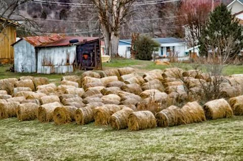 Hay rolls Stock Photos