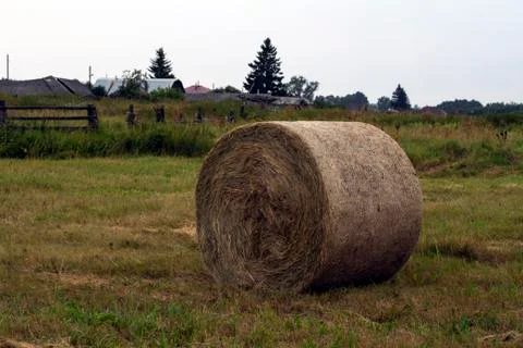 Hay rolls Stock Photos