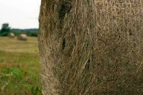 Hay rolls Stockfoto's