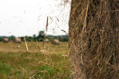 Hay rolls Stockfoto's