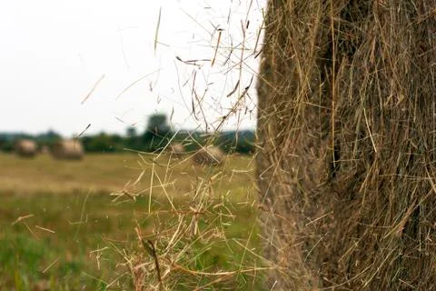 Hay rolls Stockfoto's