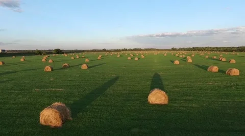 Hay rolls at sunset Stock Footage