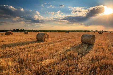 Hay rolls at sunset Stock Photos