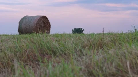 Hay rolls wrapped in mesh placed across a dry field, warm evening light enh.. Video stock 313610740