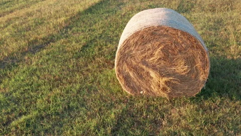 Hay - round bale or roll - on the field in late summer or autumn Stock Footage 213315012