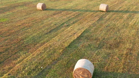 Hay - round bales or rolls - on the field in late summer or autumn Stock Footage 212800962