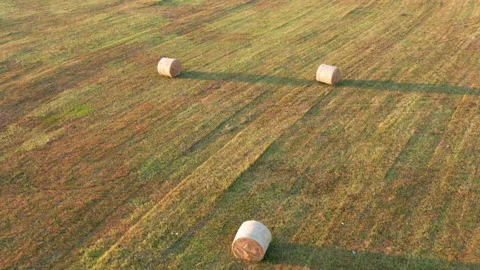 Hay - round bales or rolls - on the field in late summer or autumn Stock Footage 212820872