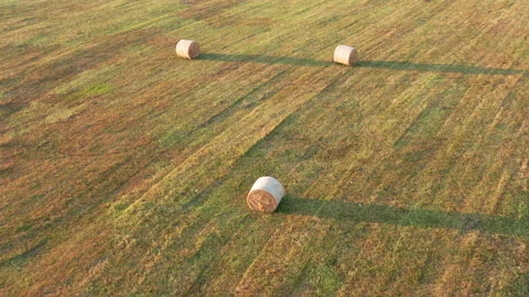 Hay - round bales or rolls - on the field in late summer or autumn Stock Footage 212830621