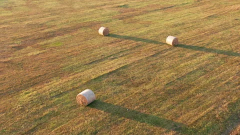 Hay - round bales or rolls - on the field in late summer or autumn Stock Footage 212838156