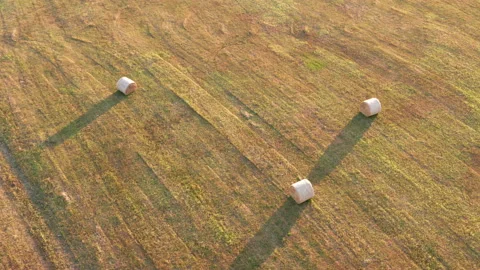Hay - round bales or rolls - on the field in late summer or autumn Stock Footage 212847732