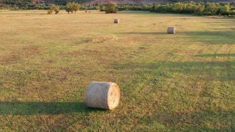 Hay - round bales or rolls - on the field in late summer or autumn Stock Footage 212855284