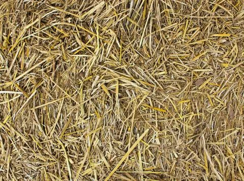 Hay seamless background. Stock Photos