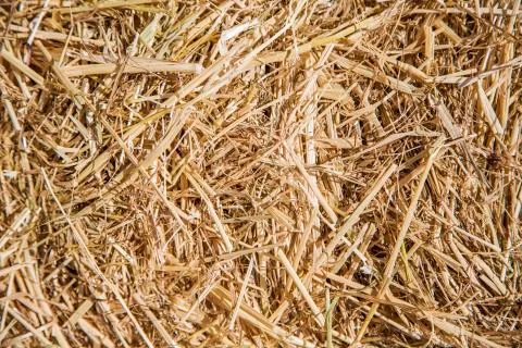 Hay seamless background Stock Photos
