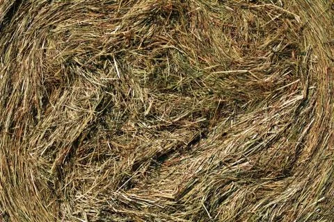 Hay side view Stock Photos