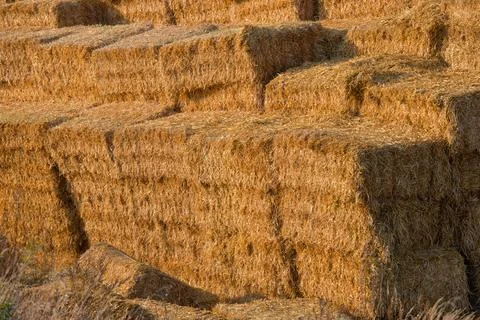 Hay stack bales close up, with rural farm countryside Stock Photos