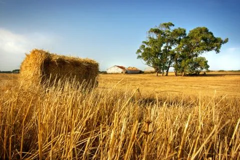 Hay stack Stock Photos
